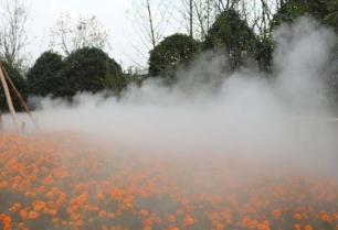 使用人造霧造景時應該注意哪些事項？