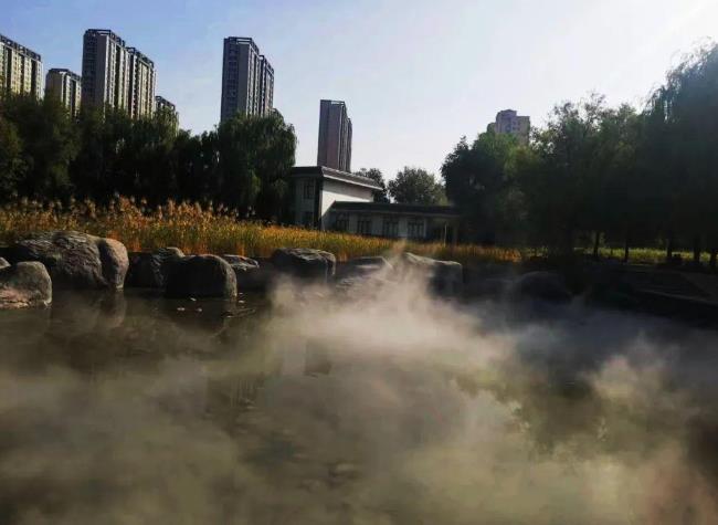 太美了！青城這個公園如“仙境”一般…